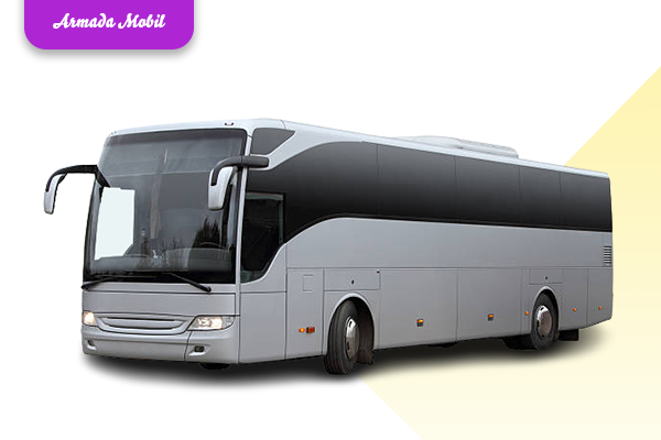 Big Bus-alfara